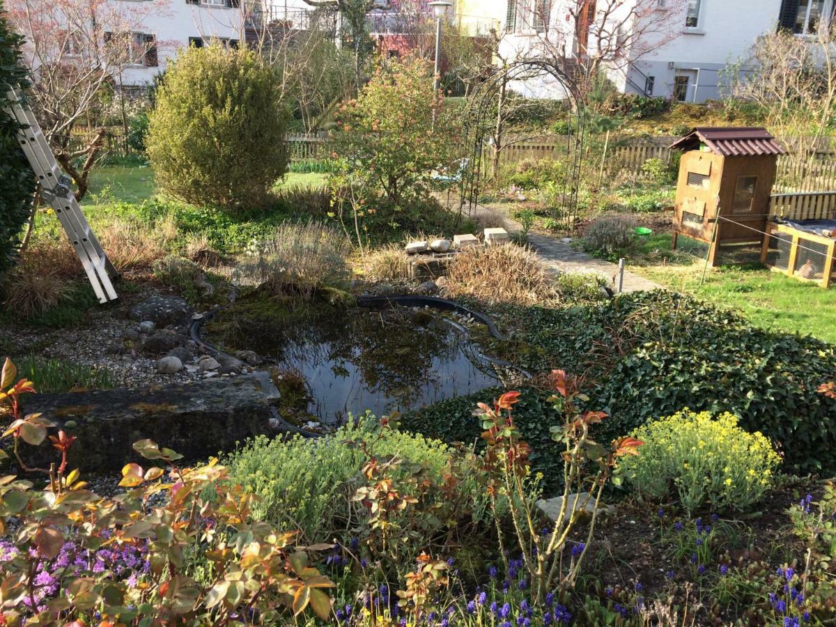 Ruhiges Gaestezimmer Winterthur Esterno foto